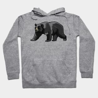 Black Bear Hoodie